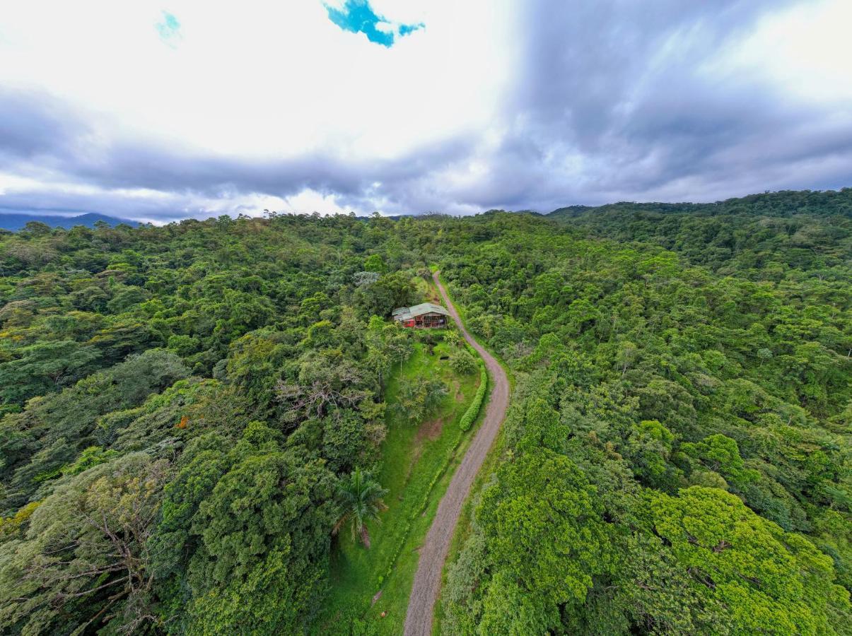 Birds & Breakfast Costa Rica Bed & Breakfast La Tigra  Exterior photo
